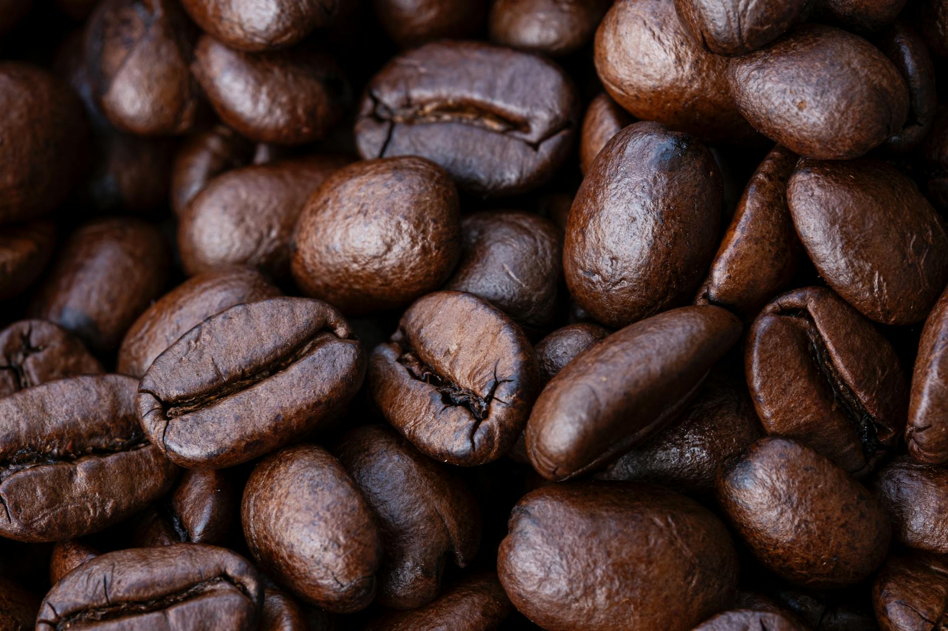 Detailed macro shot of glossy roasted coffee beans for rich aroma and taste.